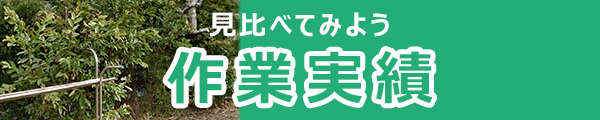 見比べてみよう作業実績
