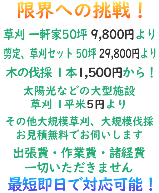限界への挑戦！草刈 一軒家50坪 9800円より、剪定、草刈セット 50坪 29,800円より、木の伐採1本1,500円から！太陽光などの大型施設　草刈　1平米5円より その他大規模草刈、大規模伐採　お見積無料でお伺いします。最短即日で対応可能！
