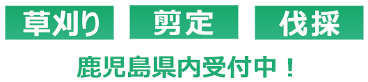 草刈り・伐採・剪定 鹿児島県内受付中